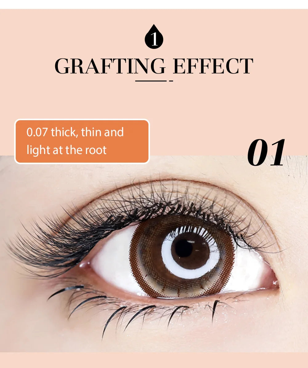 DeceMars 6D-W Shaped Eyelash Extension