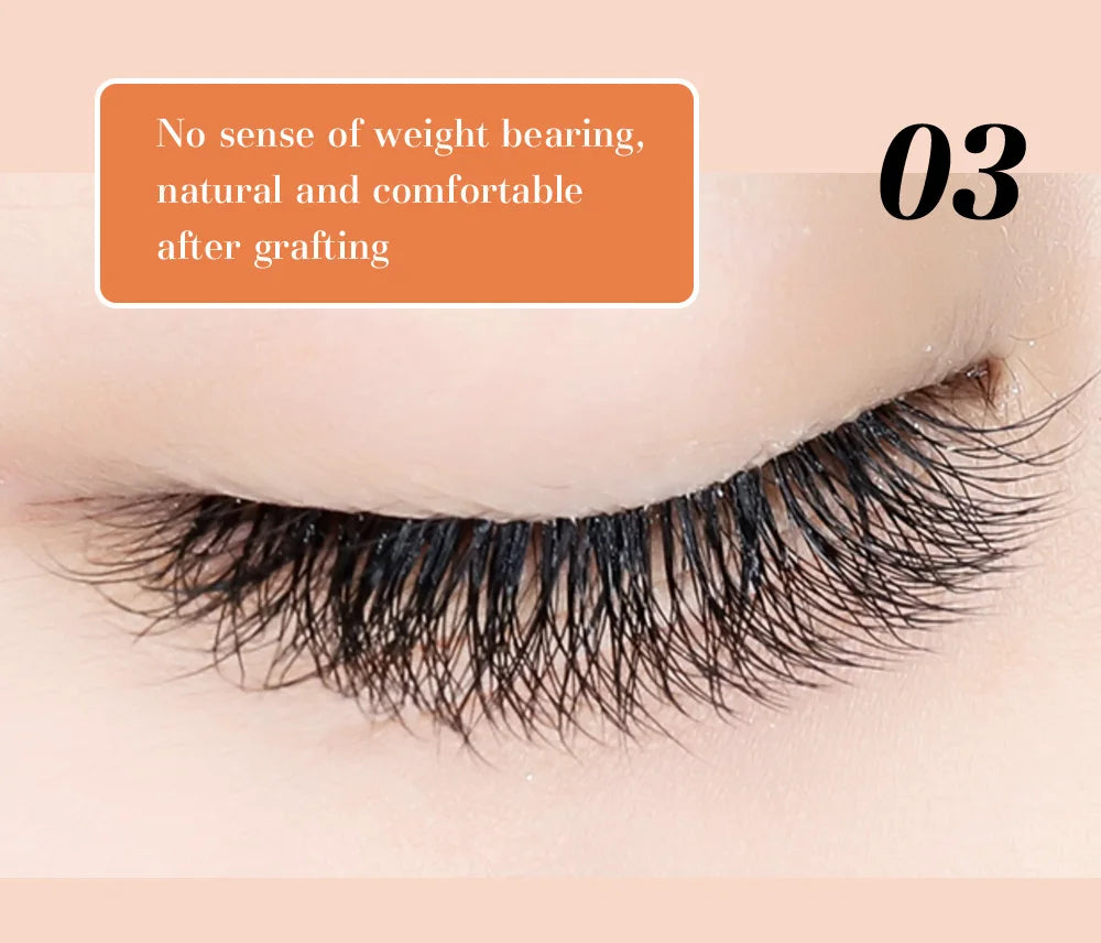 DeceMars 6D-W Shaped Eyelash Extension
